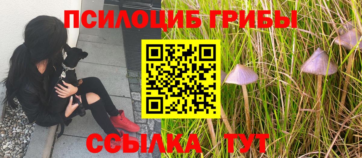 Псилоцибиновые грибы Psilocybine cubensis  Вход с VPN  Старый Оскол 