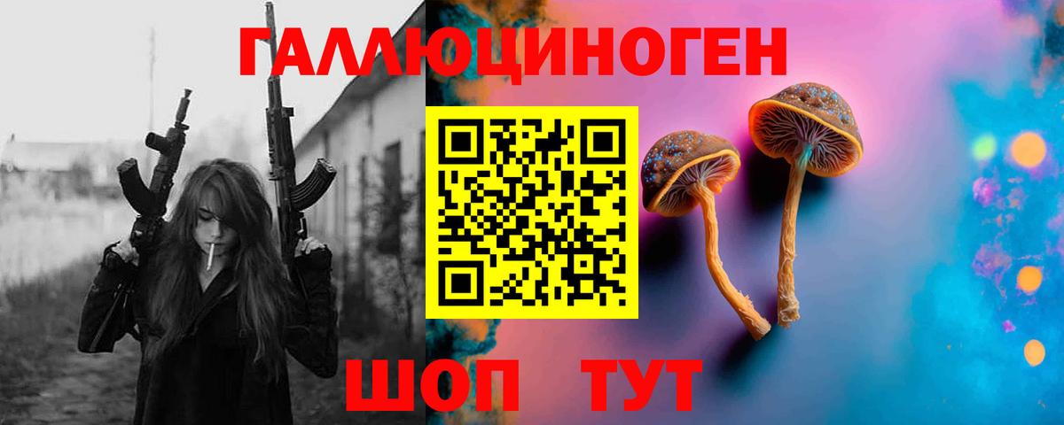 Галлюциногенные грибы Psilocybine cubensis Старый Оскол